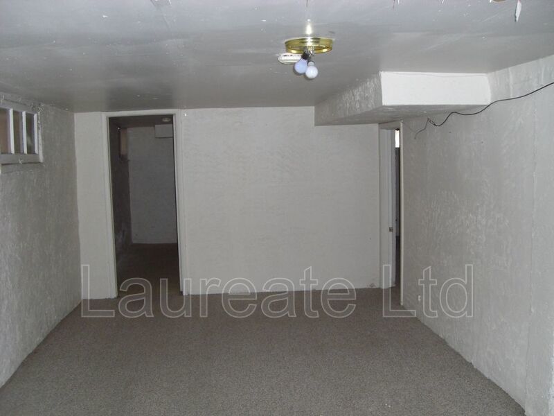 4 Bed 2 Bath w/ Finished Bsmt in the Heart of LoHi- Denver - MUST SEE!! property image