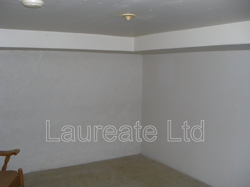 4 Bed 2 Bath w/ Finished Bsmt in the Heart of LoHi- Denver - MUST SEE!! property image